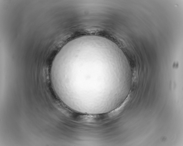 X0000090460182200708102119