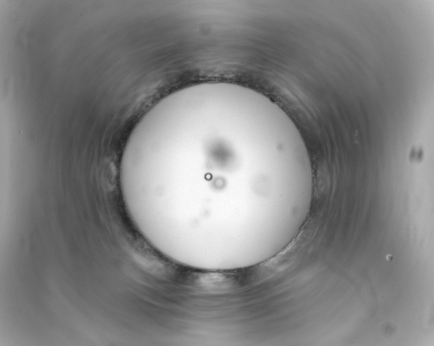 X0000090460183200708102119