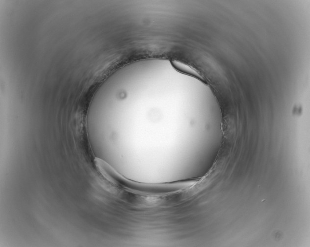 X0000090460184200708102119