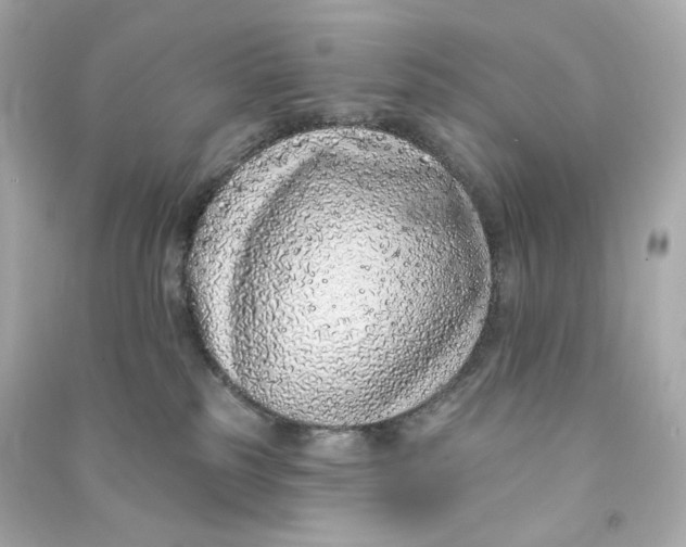 X0000090460185200708102119