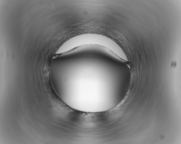 X0000090460186200708102119