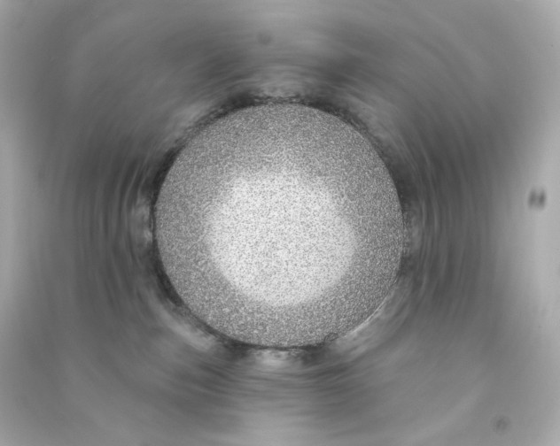 X0000090460187200708102119