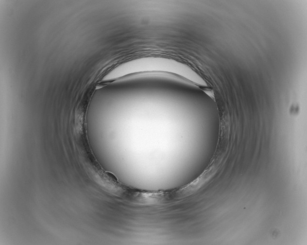 X0000090460188200708102119