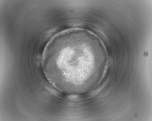 X0000090460189200708102119