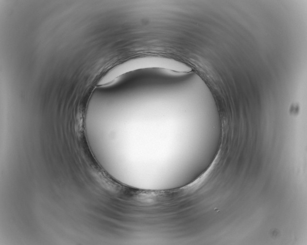 X0000090460190200708102119