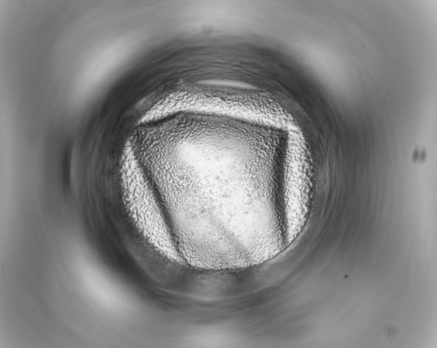 X0000090460191200708102119