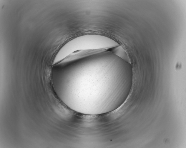 X0000090460192200708102119