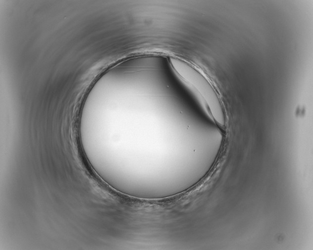 X0000090460193200708102118