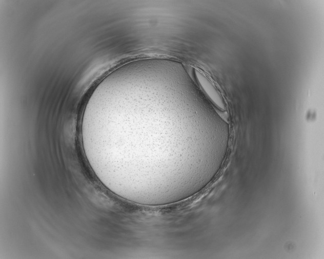 X0000090460194200708102118