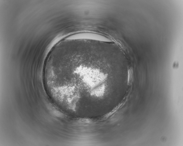 X0000090460195200708102118