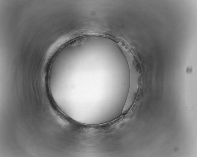 X0000090460197200708102118