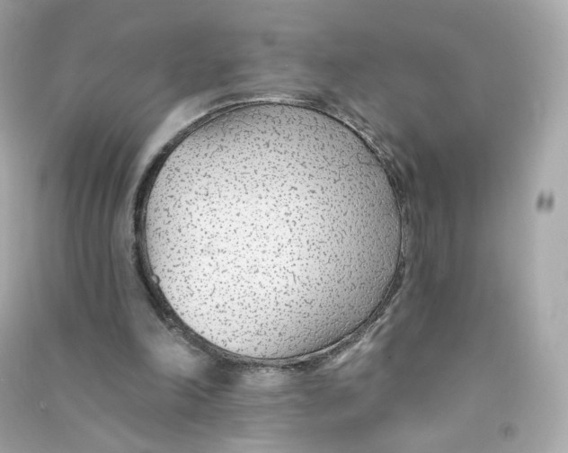 X0000090460198200708102118