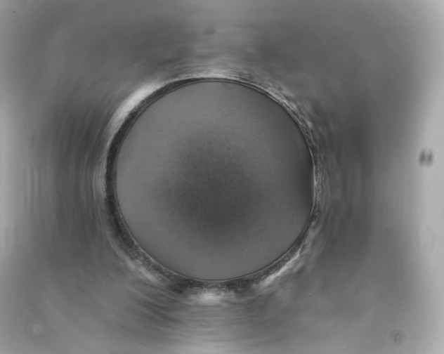 X0000090460200200708102118