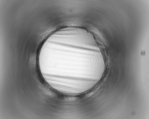 X0000090460202200708102118