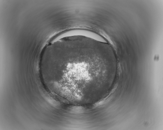 X0000090460203200708102118