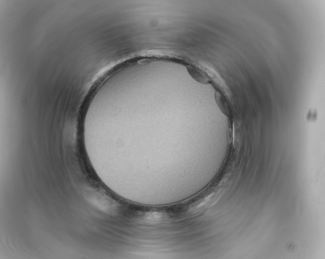 X0000090460204200708102118