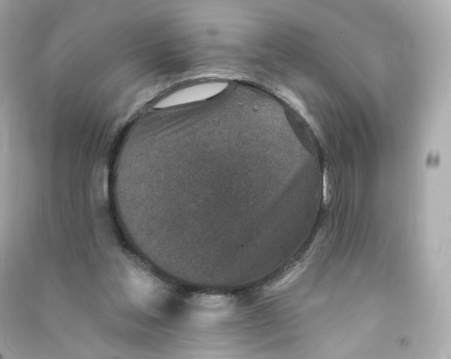 X0000090460205200708102118