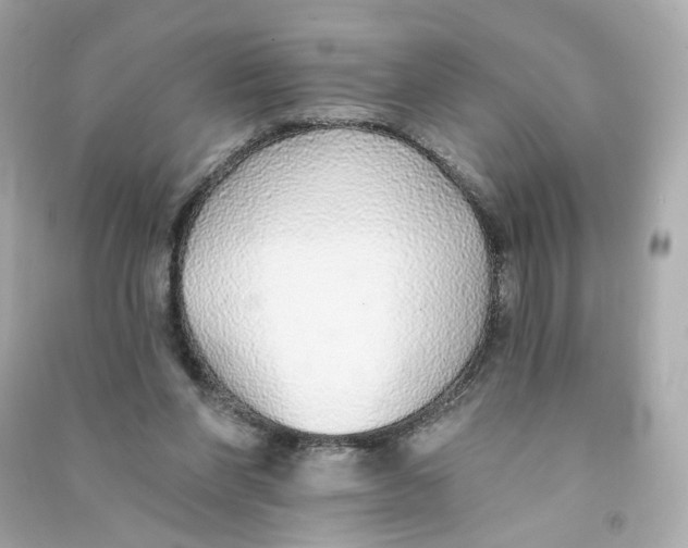 X0000090460206200708102118