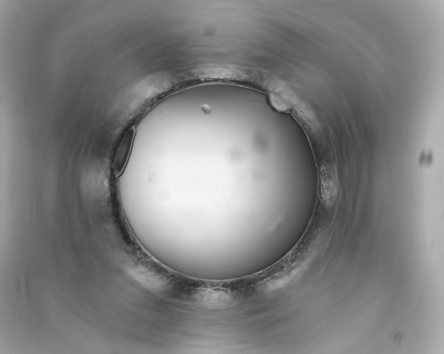 X0000090460207200708102118