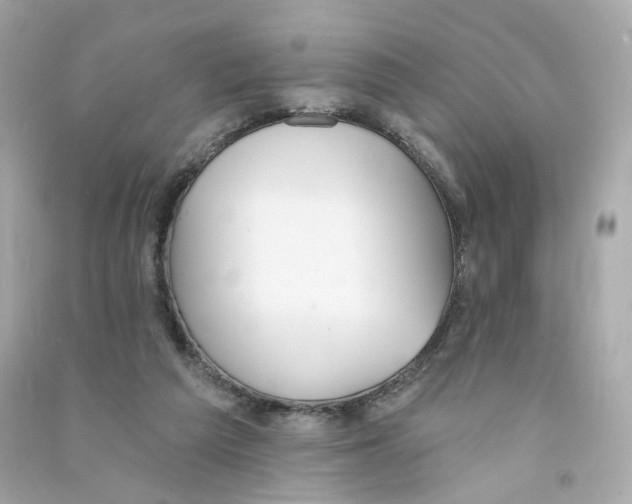 X0000090460209200708102118