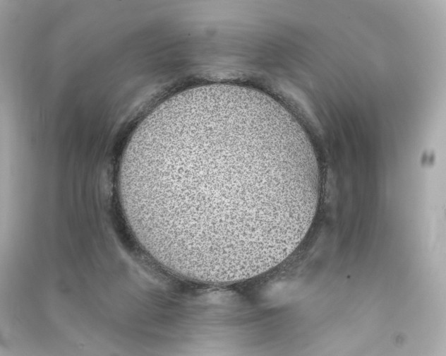 X0000090460210200708102118