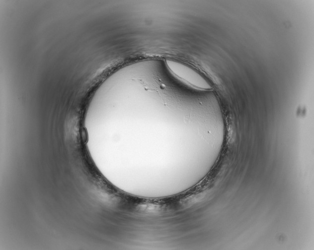 X0000090460211200708102118