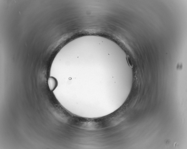 X0000090460212200708102118