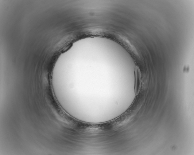 X0000090460213200708102118