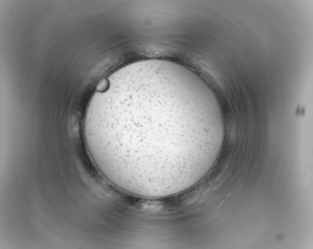 X0000090460214200708102118