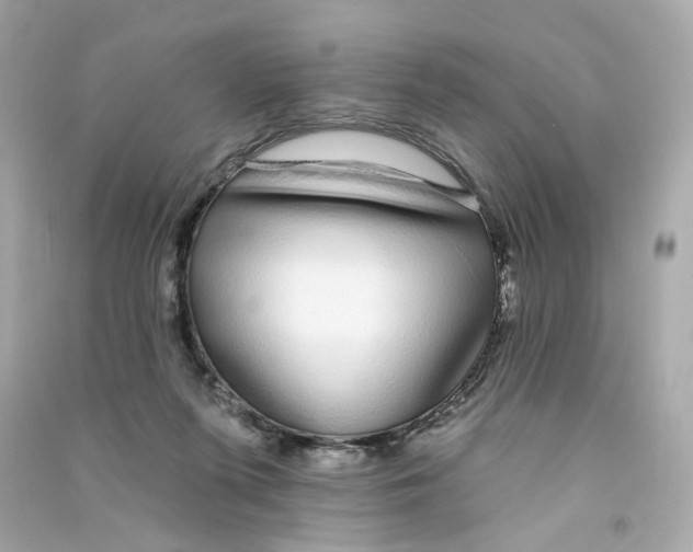 X0000090460215200708102118