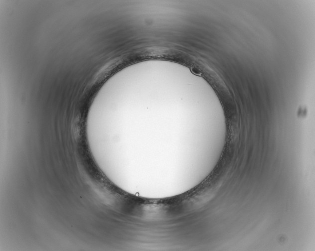 X0000090460216200708102118