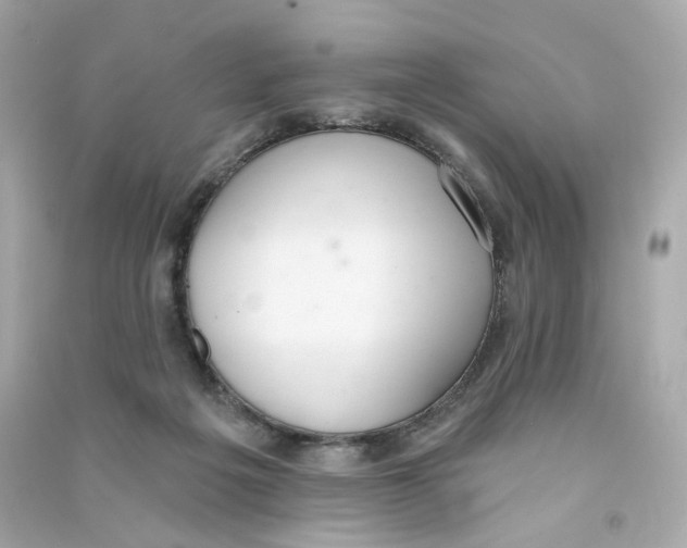 X0000090460217200708102118