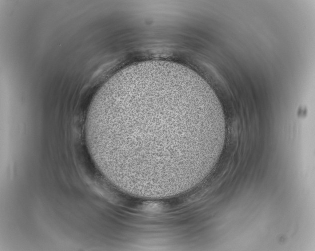 X0000090460218200708102118