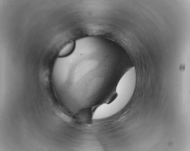 X0000090460219200708102118