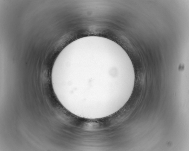 X0000090460220200708102118