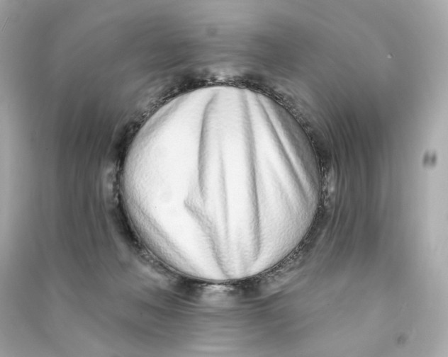 X0000090460222200708102118