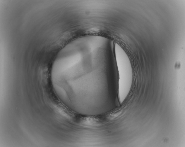 X0000090460223200708102118