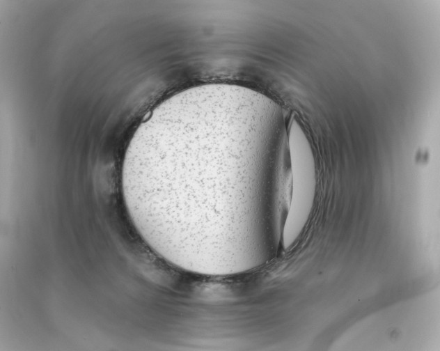 X0000090460224200708102118