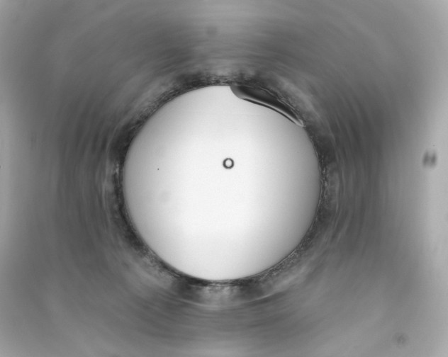 X0000090460225200708102118