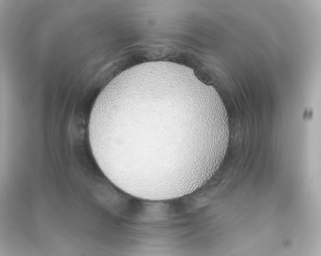 X0000090460226200708102118