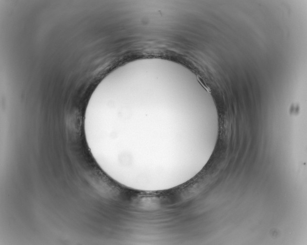 X0000090460228200708102118