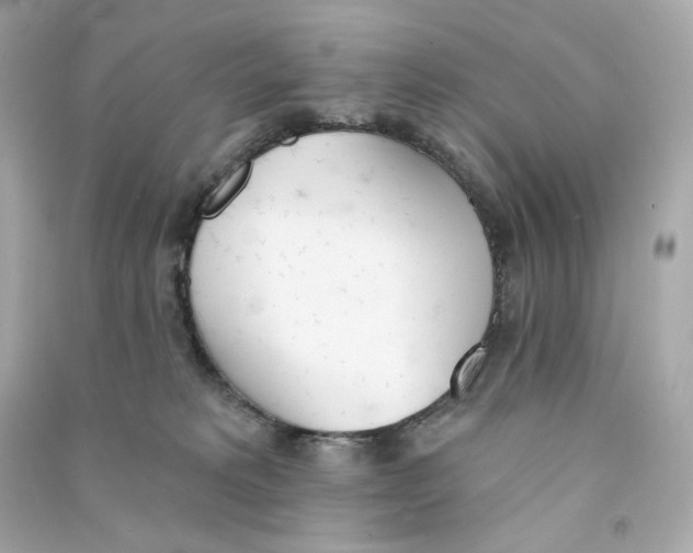 X0000090460229200708102118