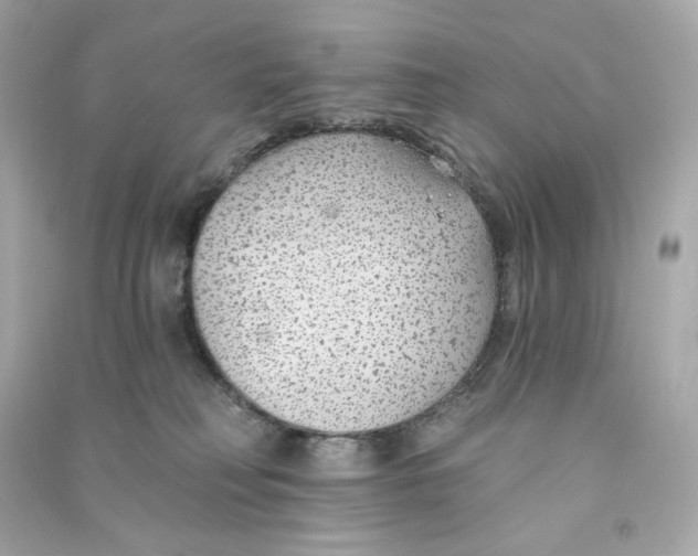 X0000090460230200708102118