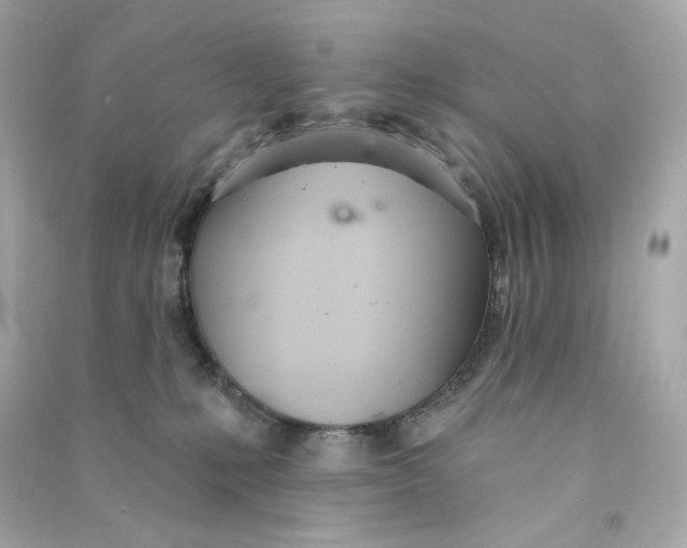 X0000090460231200708102118