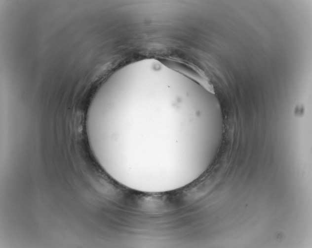 X0000090460232200708102118