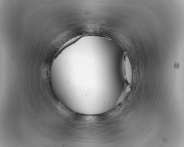 X0000090460233200708102118