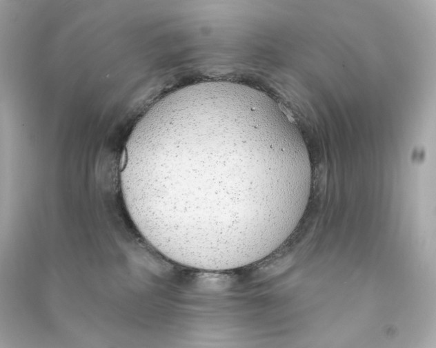 X0000090460234200708102118