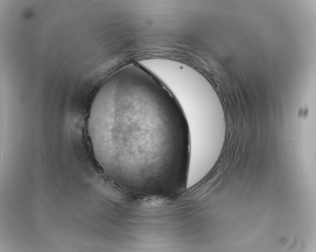 X0000090460235200708102118