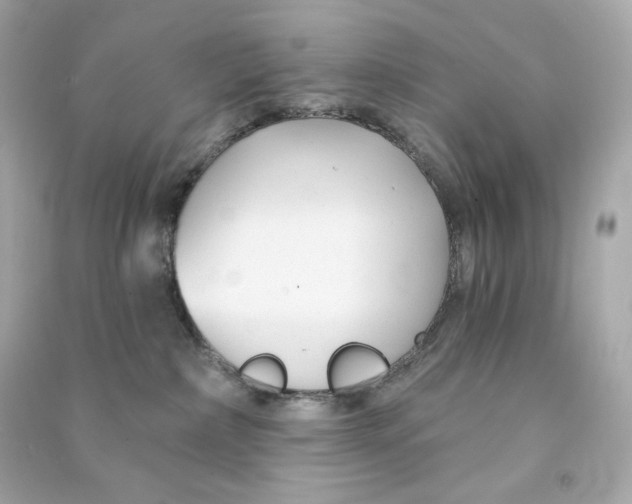 X0000090460236200708102118