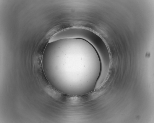 X0000090460237200708102118